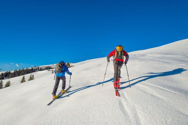 Quelles préparations spécifiques pour une randonnée en autonomie dans le parc national de Denali, Alaska ?