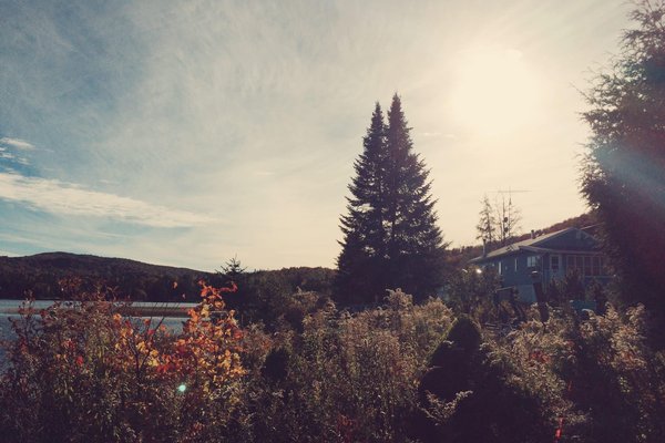 Quelle est la meilleure saison pour la cueillette des olives en Grèce?